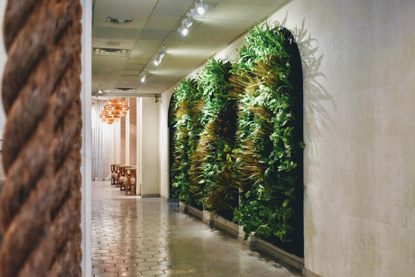 schlosser-design-group-green-oasis-living-wall-plaza-hotel